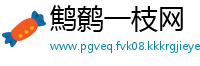鹪鹩一枝网